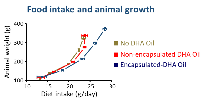 Graph showing the animal's weight gain as a function of the presence of encapsulated or non-encapsulated DHA.