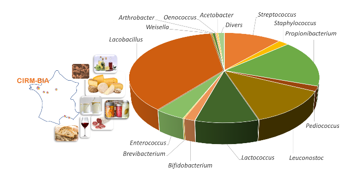 schema2