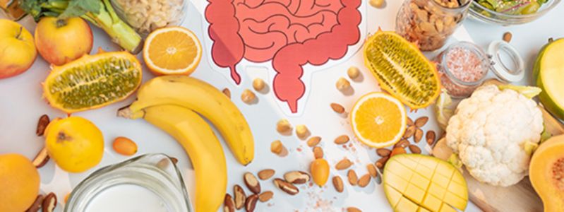 Food digestion