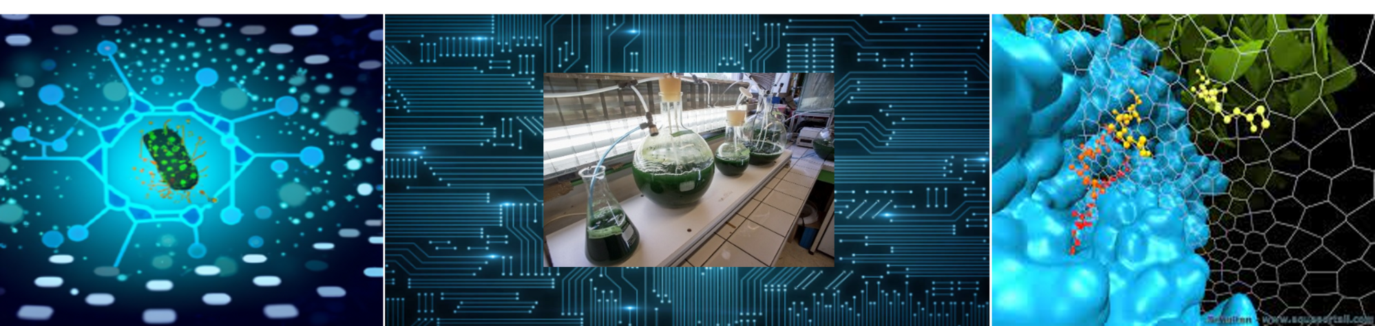 Three images side by side: a cell in a network, test tubes on a workbench, and a molecule in 3D.