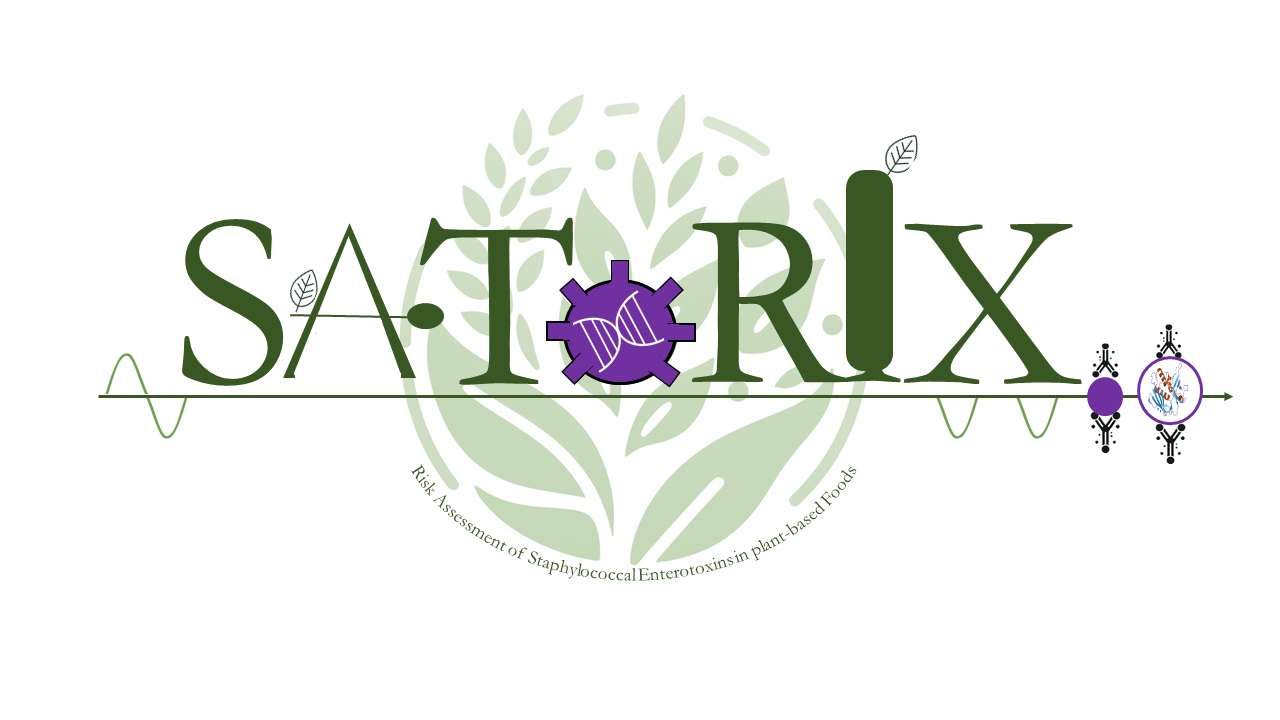 Logo ANR Satorix