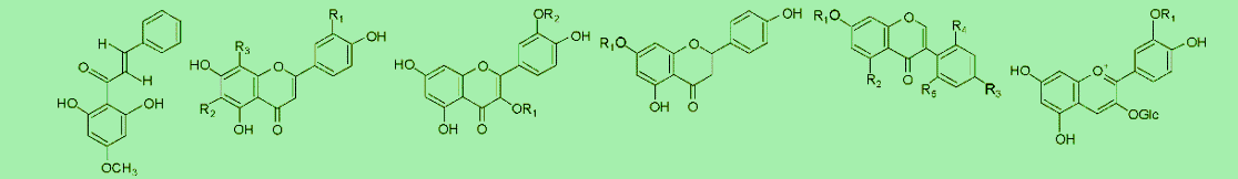 molecules