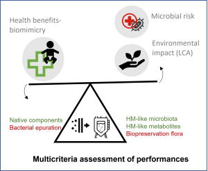 Strategic diagram of the Bifores project