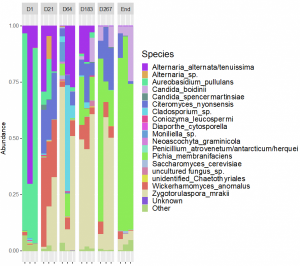 Graph showing microbial species and abundance in olives