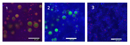 BN-R12_image