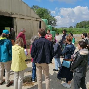 Visit to a Veg&Lait partner's farm