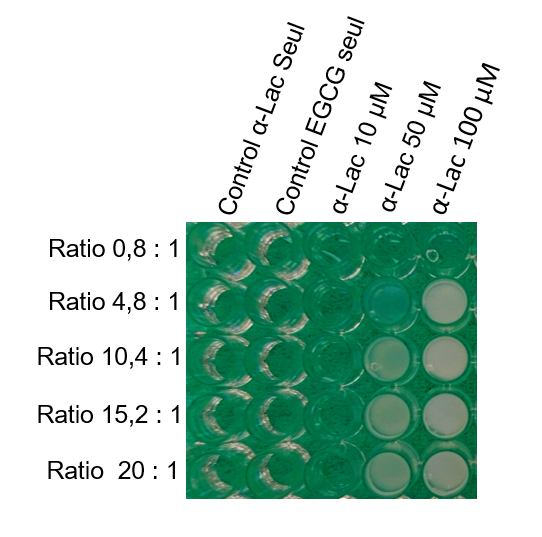 deepwell with differents turbidity
