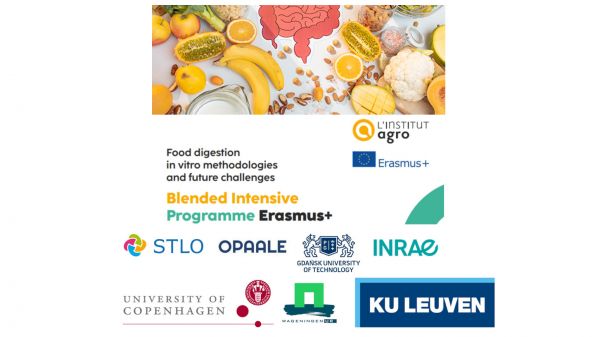 Image Food digestion